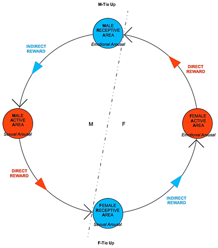 Figure 1. The tie-up cycle.