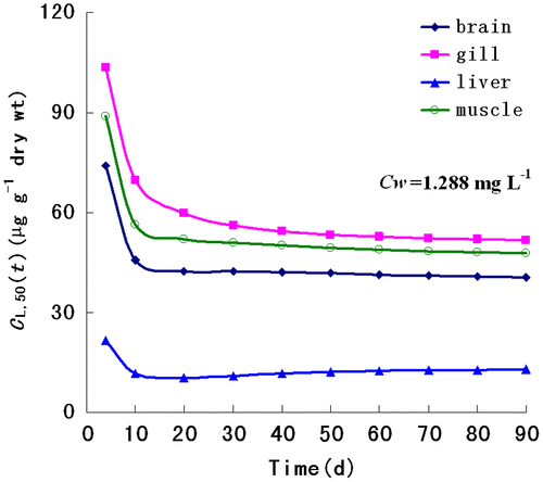 Figure 3. Predicted internal effect concentration–time response relationships in target organs of Lanzhou catfish when exposed to 1.288 mg/L waterborne arsenic, at the site of action that causes 50% mortality.
