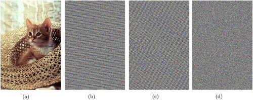 Figure 17. Key Sensitivity Analysis for Cat Image (Key B was obtained when one bit was changed in key A). (a) Original Cat Image. (b) Encrypted Image with key A. (c) Encrypted Image with key B and (d) Difference between (b) and (c).