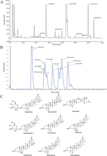 Figure 1 HPLC-ELSD and UHPLC-MS/MS analyses of BFP-TA. (A) HPLC diagram of BFP-TA. (B) The total ion chromatogram of nine alkaloids in a mixed standard solution was determined by UHPLC-MS/MS. (C) Chemical structures of nine alkaloids.