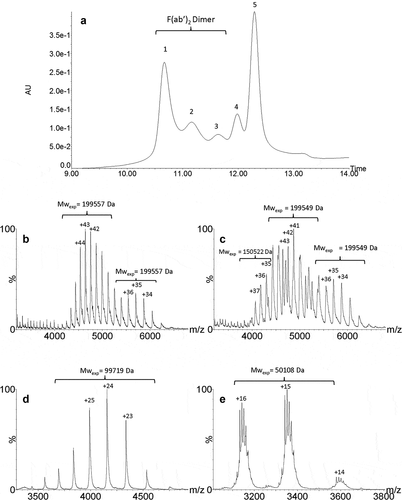Figure 4. UPSEC-UV-MS chromatogram of the isolated HMW fraction submitted to IdeS enzymatic digestion (a). Native mass spectra of peaks 1 (b), 2 (c), 4 (d) and 5 (e) obtained by UPSEC-MS. See conditions in Figure 3. Theoretical masses of F(ab’)2, F(ab’)2 dimer and Fc are 199,412 Da, 99,706 Da and 50,108 Da, respectively.