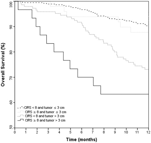 Figure 2. Kaplan–Meier curve showing the overall survival of the 586 early-stage lung cancer patients treated with stereotactic body radiotherapy, stratified by Cumulative Illness Rating Scale (CIRS) score and tumor diameter. (Log rank p < .001).