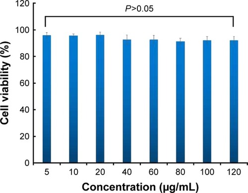 Figure 16 Cytotoxicity assay using MTT method.