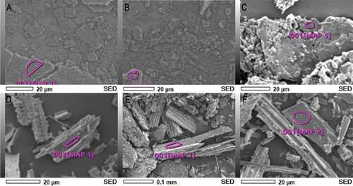 Figure 7. Scanning electron microscope micrographs showing the changes in surface morphology of the soot and biochar after treatment using the improved Cr2O7 method. (A) Soot before treatment. (B) Soot after HF treatment. (C) Soot after HF and K2Cr2O7/H2SO4 treatment (D) Biochar before treatment. (E) Biochar after HF treatment. (F) Biochar after HF and K2Cr2O7/H2SO4 treatment. The enclosed area indicates the regions in which EDS elemental analyses were performed by EDS