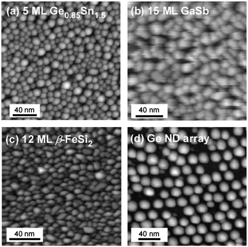 Figure 5. Scanning tunneling microscopy images of NDs formed by ultrathin Si oxide film technique. (a) 5-monolayer (ML) Ge0.85Sn0.15 NDs, (b) 15-ML GaSb NDs, (c) 12-ML β-FeSi2 NDs, and (d) Ge ND array.