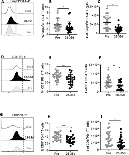 Figure 3. Reduction in immune checkpoint receptors during and after tivozanib therapy. (A) Representative histogram offset showing frequency of Foxp3+CTLA-4+ Tregs measured at pre, 28–35d and 160d of tivozanib treatment. (B) Frequency and (C) absolute numbers of Foxp3+CTLA-4+ Tregs pre vs 28–35d. (D) Representative histogram offset showing frequency of CD4+PD-1+ T cells measured at pre, 28–35d and 160d of tivozanib treatment. (E) Frequency of CD4+PD-1+ T cells pre vs 28–35d (F) Absolute number of CD4+ PD-1+ T cells pre vs 28–35d (G) Representative histogram offset showing frequency of CD8+PD-1+ T cells measured at pre, 28–35d and 160d of tivozanib treatment. (H) Frequency of CD8+PD-1+ T cells pre vs 28–35d (I) Absolute number of CD8+PD-1+ T cells pre vs 28–35d. Each symbol represents an individual HCC patient. Frequencies of CTLA-4+Tregs and PD-1+ T cells were calculated based on CD3+CD4+ T cell/CD3+CD8+ T cell population and. **** P < 0.0001, *** P < 0. 001, ** P < 0.01, * P < 0.05, paired t-test, n = 17.