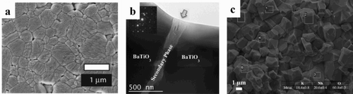 Figure 15. (a) Microstructure of FSed BaTiO3 at an applied voltage (DC) of 250 V cm−1 and current limit of 9.3 mA mm−2, TF = 822°C. (b) TEM bright field image and the electron diffraction pattern of a secondary phase in flash-sintered BaTiO3 at an applied voltage of 100 V cm−1 (DC), TF = 1020°C for 60 s. (c) Microstructure of flash-sintered KNbO3 with applied electric field of 600 V cm−1 (DC), TF = 750°C. Adapted from M'Peko et al. [Citation94], Uehashi et al. [Citation77], and Shomrat et al. [Citation78], respectively.
