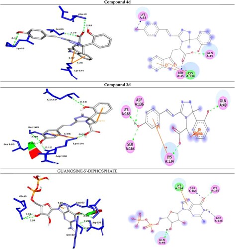 Figure 4. Molecular docking of best compounds 4d and 3d and Guanosine-5'-diphosphate with Rab5. (Left Side): 3D representations; the docked compounds are shown in grey stick model, while the docked residues are represented in blue stick model. (Right side): 2D representations; the docked compounds are shown in grey stick model, while the docked residues are represented in ball model. H-bonds are shown in green dotted lines, while π-stacking interactions are given in orange line.