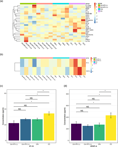 Figure 6 IP-10 and VEGF-A upregulated in the cervical cancer group. (a) Heat maps of the concentrations of 22 immune factors in the four groups. (b) Heat maps of the concentrations of IP-10 and VEGF-A in the four groups. (c) The concentration of IP-10 in the four groups. (d) The concentration VEGF-A in the four groups. *p < 0.05, NSp > 0.05.