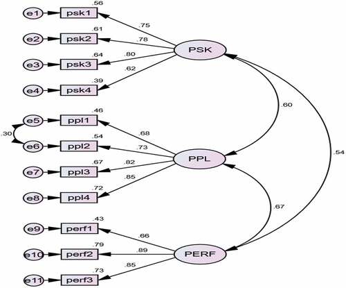 Figure 2. The CFA model.