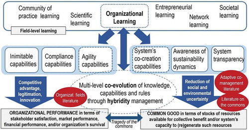Figure 2. A model addressing the three gaps identified in Figure 1 through a cross-fertilisation of organisational learning research with the literatures on the commons, adaptive co-management, and organisational fields. Source: Authors