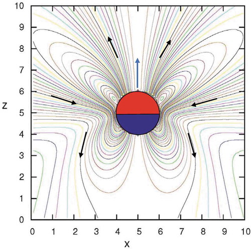 Figure 2. Streamlines of the velocity field (22) around a Janus particle in the laboratory frame where the particle moves with the velocity Vsd=2Υa1/3 for Re≃0.013, Pe≃0.17, and Da≃6.2 from [Citation56]. The vertical axis z corresponds with u of the Janus particle. The upper hemisphere is catalytic. The motor here behaves as a pusher with Υa2<0. The blue arrow denotes the direction of particle motion and black arrows the fluid flow.
