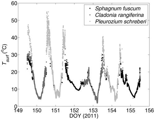 FIGURE 2. Radiometric surface temperature (Tsurf ) of representative Sphagnum fuscum, Cladonia rangiferina, and Pleurozium schreberi patches in the Innoko National Wildlife Refuge, Alaska.