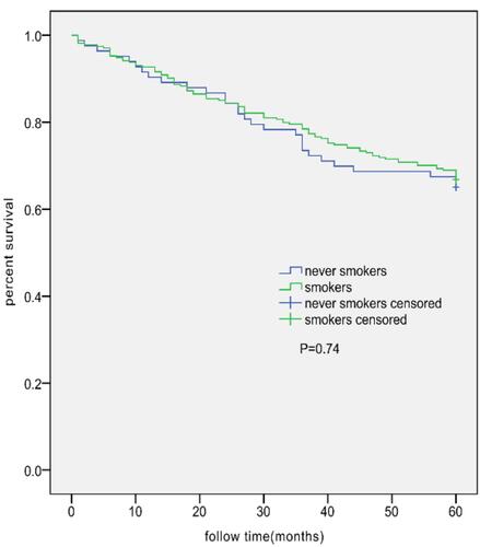 Figure 3 Kaplan–Meier survival curves for AECOPD patients in the NS group (n=83; 29 deaths) and all smokers AECOPD group (n=274; 91 deaths). No significant difference between the two groups was observed (log rank test, 0.113; P=0.74).