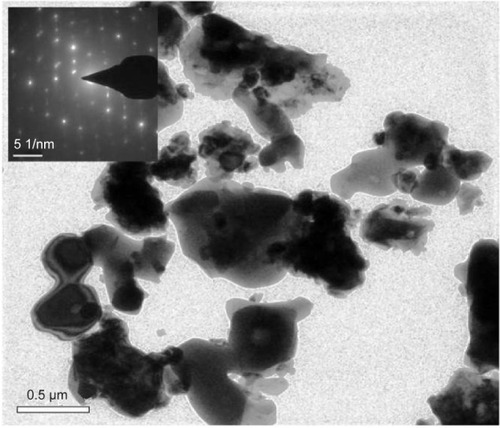 Figure 6 TEM images of TiO2 powder sintered at 900°C for 2 hours (insets: SAED patterns).Abbreviations: TEM, transmission electron microscope; TiO2, titanium dioxide; SAED, selected area electron diffraction.