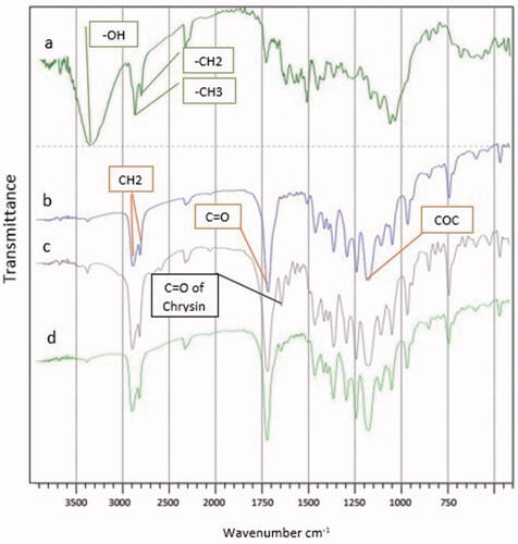 Figure 2. FTIR spectrum of: (a) PCL-PEG-PCL triblock copolymers, (b) Curcumin PCL-PEG nanofiber, (c) Chrysin PCL-PEG nanofiber, and (d) Chrysin–Curcumin PCL-PEG nanofiber.