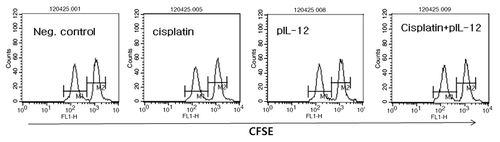 Figure 5. Evaluation of Trp2-specific CTL lytic activity by IT-EP of cisplatin plus IM-EP of IL-12 cDNA. Groups of mice (n = 5/group) were challenged s.c. with 5 × 105 B16 cells/mouse. When tumor sizes reached 6 mm, animals were injected once with cisplatin (2.5 mg/kg) by IT-EP and at the same time treated with 5 μg of IL-12 cDNA per mouse by IM-EP at 0, 4 and 11 d. At 16 d post-treatment, Trp2 peptide-pulsed (CFSE high) and un-pulsed (CFSE low) spleen cells were injected i.v. into the treated mice, as described in “Materials and Methods.” Next day, the mice were sacrificed and spleen cells were used for FACS analysis to measure the levels of CFSE labeled cells of each subset. M1, un-pulsed CFSE low population; M2, Trp2-pulsed CFSE high population.