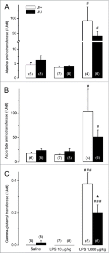 Figure 4. Biochemical markers of hepatocyte damage in J/J and J/+ rats. (A) Plasma ALT levels do not differ between saline-treated J/J and J/+ rats and remain unchanged after the administration of the low dose of LPS (10 μg/kg, iv). In response to the high dose of LPS (1,000 μg/kg, iv), plasma ALT surges in both genotypes, but this surge tends to be blunted in J/J rats (as compared to the J/+ controls). (B) Plasma AST levels do not differ between J/J and J/+ rats after administration of saline or LPS at the low dose. In response to the high dose of LPS, AST surges in both genotypes, but the surge tends to be blunted in J/J rats). (C) Plasma GGT levels are near the detection threshold in J/J and J/+ rats after administration of saline or the low dose of LPS. Plasma GGT rises in both genotypes in response to the high dose of LPS, but the rise is significantly reduced in J/J rats. A significant (P < 0.05) intergenotype difference in the response to LPS is marked with *. Within each genotype, significant differences in the response to LPS (as compared to saline) are marked as # (P < 0.05) or ### (P < 0.001).