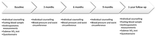 Figure 2. The structured lifestyle programme.