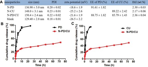 Figure 2 Characteristic of nanoparticles. (A) Size, PDI, zeta potential EE and DLE of nanoparticles, Data represent the mean ± SD (n=3). (B) Cumulative release of PD from N-PD/CU and free PD solution. (C) Cumulative release of CU from N-PD/CU and free CU solution. Data represent the mean ± SD (n=3).