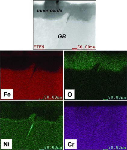 Figure 28 Distribution of Fe, Ni, Cr and O in the cross section of the surface oxide layer in type 316 SSs PWR-irradiated to 20 dpa after immersion in PWR water conditions for 1000 h [Citation322]