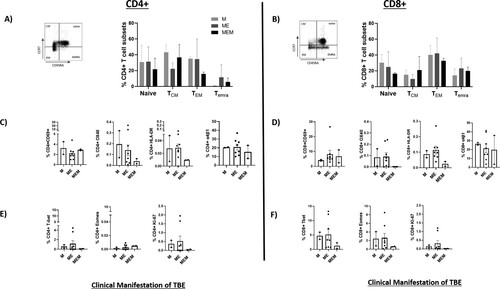 Figure 3. Phenotypic characterization of TBEV-specific T-cells in patients with distinct clinical manifestations. Representative FACS plots (left) and summary distribution of T-cell subsets (right) of CD4+ (A) or CD8+ (B) T-cells in patients with mild or severe clinical presentation of TBE (without stimulation). Expression of activation markers (CD69, OX-40 or HLA-DR) or homing marker (α4β1) by CD4+ (C) or CD8+ (D) T-cells after stimulation with combination of highest responding peptide pools representing either structural or non-structural proteins. Intranuclear detection of T-bet, Eomes or Ki-67 by CD4+ (E) or CD8+ (F) T-cells upon stimulation similar to above. Only samples with sufficient cell numbers after the functional cytokine assays were used and values from unstimulated controls were subtracted for the analyses of the indicated phenotypic and intranuclear markers. Tnaive = naïve T cell, TCM = central memory T cell, TEM  = effector memory T cell, TEMRA  = terminally differentiated effector T cell. Two-tailed Kruskal–Wallis test or ANOVA with Dunn’s multiple comparison test were performed for comparisons of groups.