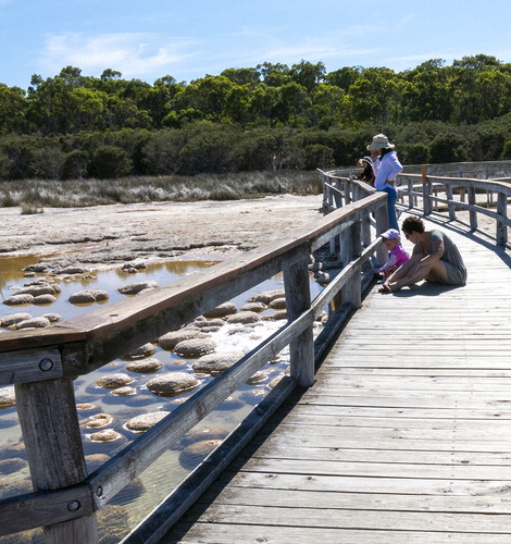 Figure 3. Families visiting thrombolites.