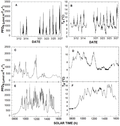 FIGURE 2. Instantaneous photon flux density (PFD) incident on a horizontal plane (PFDs and Ta respectively) during the study period (A, B), plus hourly values for the coldest (C, D) and warmest (E, F) days measured (3/26/12 and 3/27/12, respectively).