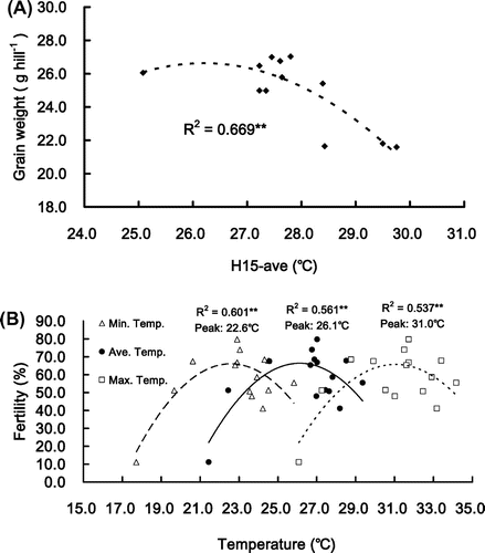 Figure 1. (A) The relationship between grain weight per hill and H15-ave. And (B) the relationship between fertility and average (black circle), maximum (white square) and minimum (white triangle) temperature (Lur, Citation2009). **P value < .01. *Because the grains of the samples collected in 2007 of Experiment 1 were cracked in the process of polishing, we only used the samples from 2008 of Experiment 1 and samples from 2007 of Experiment 2 in this measurement. Equivalent sample numbers were used in measurements in Figure 2, Figure 3, and Figure 6.