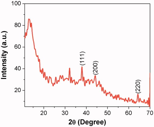 Figure 3. X-ray diffraction pattern (XRD) silver nanoparticles synthesized from Alpinia officinarum (lesser galangal) traditional Chinese medicinal plant (AG-AO).