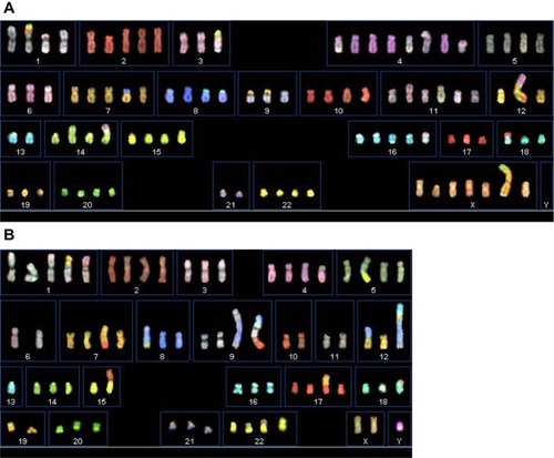 Figure 7 Spectral karyotyping images of all the cell lines.
