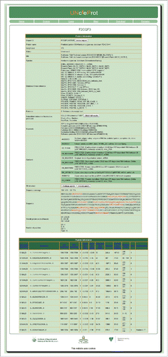 Figure 4. Protein and Peptide Information page. This page presents information related to a particular protein, including the corresponding MS data and amino acid sequences of the identified peptides.