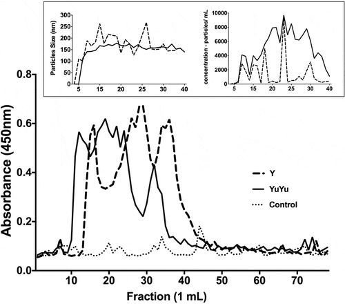 Figure 3. Sepharose 4B elution profile of EVs released by T. cruzi trypomastigotes. Total shed vesicles obtained from trypomastigotes (Y, broken lines and YuYu, full line) and control (DMEM and 2% glucose, dotted line) were submitted to gel filtration chromatography using Sepharose CL-4B column and 1 mL fractions were collected. (a) Reactivity of each fraction to antibody 460 was determined by ELISA, and the results are expressed by absorbance at 450 nm. (b) Size (nm) and (c) concentration (particles/mL) of EVs from each fraction as determined by NTA analysis. This figure represents a typical analysis of at least three independent experiments.