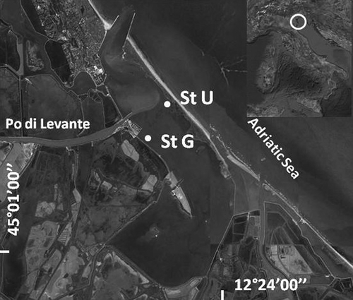 Figure 1. Marinetta Lagoon and study sites (StU: site U; StG: site G).