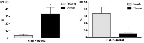Figure 2. Sperm high mitochondrial membrane potential (%) in (A) fresh semen of the Young and Senile Groups and (B) in fresh and cryopreserved semen of the Senile Group. *Difference between groups (p < .05).
