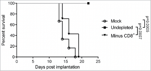 Figure 5. Impact of CD8+ T cell depletion on the therapeutic efficacy of MeVac FmIL-12. C57BL/6J mice were depleted of CD8+ T cells (Minus CD8+) by intraperitoneal antibody injections or left undepleted (mock, undepleted). MC38cea tumor cells were implanted subcutaneously and established tumors were treated with intratumoral (i.t.) injections of 1 × 106 cell infectious units of MeVac encoding FmIL-12 (Minus CD8+, undepleted) in 100 µL on four consecutive days. Mock treated animals received i.t. OptiMEM injections. Kaplan–Meier survival analysis is shown.