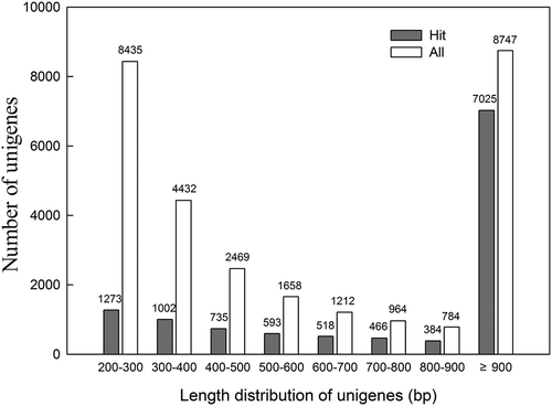Fig. 1. The annotated unigenes (hit) of all unigenes correlates to the length of the unigene. The white bar shows the number of unigenes and the grey bar shows the number of the unigene that can be annotated. By comparing the proportion of the annotated gene within all the unigenes with different length, the result shows that longer unigenes were more likely to have annotation against protein databases.