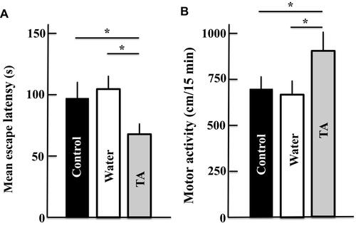 Figure 2 Effect of tranexamic acid administration on memory, learning, and motor activities of aging mice as determined by Morris water maze (A) and open field tests (B). The values are presented as means ± standard deviations using samples from six mice; *p < 0.05.