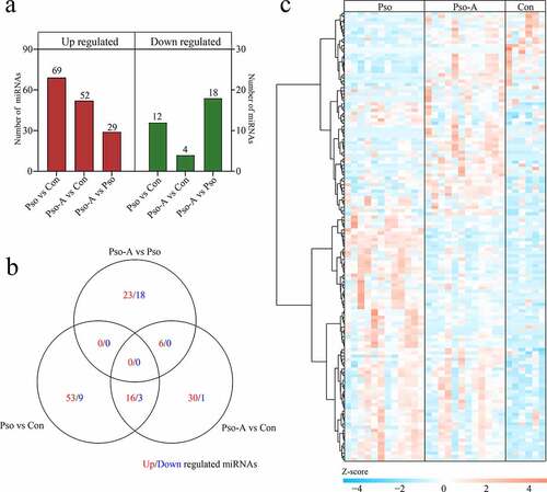 Figure 2. Differentially expressed miRNAs. a. The statistics of the number of differentially expressed miRNAs. b. Venn diagram demonstrates unique and common differential miRNAs between different groups. c. The clustering heat map of differential miRNA expression