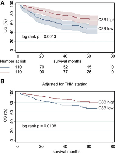 Figure 2 Kaplan–Meier method indicated that HBV-related HCC patients with high levels of C8B in tumor tissues had significantly better overall survival (OS) than those with low C8B (p = 0.0013, (A)); After adjustment of TNM staging, C8B overexpression in tumor tissues also contributed to favorable OS in HBV-related HCC patients compared to C8B downregulation (p = 0.0108, (B)).