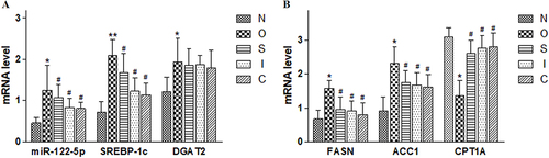 Figure 5 Effects of swimming and intermittent fasting on relative mRNA expression in the miR-122-5p/SREBP-1c/CPT1A pathway in obese rats. N, normal control group; O, obesity control group; S, obesity+swimming exercise group; I, obesity+intermittent fasting group; C, obesity+swimming combined with intermittent fasting group. (A) miR-122-5p, SREBP-1c, DGAT2. (B) FASN, ACC1, CPT1A. *P<0.05, **P<0.01 compared to the N group; #P<0.05 compared to the O group.