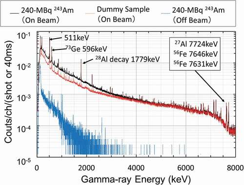 Figure 2. Prompt gamma-ray pulse-height spectra of the 240-MBq 243Am sample, the dummy case, and a decay gamma-ray pulse-height spectrum from the 240-MBq 243Am sample without neutron beam measured with one of the cluster crystals. Each spectrum was normalized with the number of incident proton beam shots.