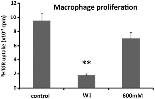 Figure 3. Effect of protein fractions W1 and F6 on macrophage proliferation. Macrophages were cultured in the presence or not of W1 and F6 (600 mM) and assessed for proliferation following 3HTdR uptake experiments. The results are expressed as cpm ± SEM. One out of three experiments with similar results is shown here. The asterisks (*) denote a statistically significant difference as compared to the untreated control (**p < 0.001).