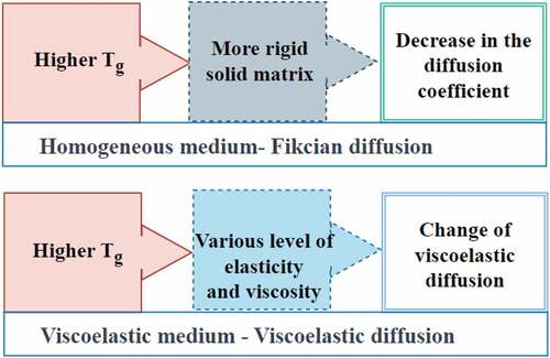 Figure 6. Different zone of diffusion, function of the temperature (K) and penetrant concentration (kg/m3).