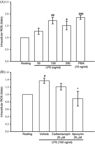 Figure 5. The effect of carbamazepine on ROS formation in activated BV-2 cells. BV-2 cells (2.5 × 105 cells/ml) were dispensed on 96-well plates and treated with DCFH-DA (20 μM) for 1 h. (A) Thereafter, the cells were activated with various concentrations of LPS (50, 150, and 300 ng/ml) or PMA (10 ng/ml) for 2 h. Then cellular fluorescence was analyzed for ROS production. (B) In contrast, the labeled cells were pretreated with either carbamazepine (20 μM) or apocynin (20 μM) for 15 min before activation by LPS (150 ng/ml) for the indicated time. The fluorescence was read immediately at wavelengths of 485 nm for excitation and 530 nm for emission on a fluorescence plate reader. The data are shown as mean ± S.E.M of three to five experiments. #p < 0.05, ##p < 0.01, ###p < 0.001 as compared with the resting groups; *p < 0.05 as compared with the vehicle under stimulation.