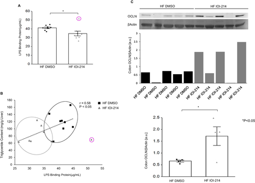 Figure 11 IOI-214 decreases gut permeability in HF diet-fed mice.
