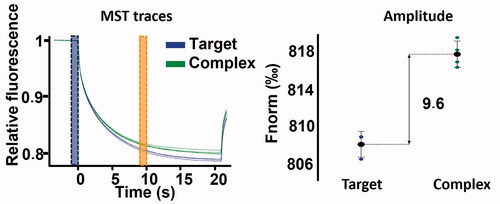 Figure 4. MST binding check performed on 100 nM hVDAC1 with (green), or without (blue) 250 µM VBIT4.