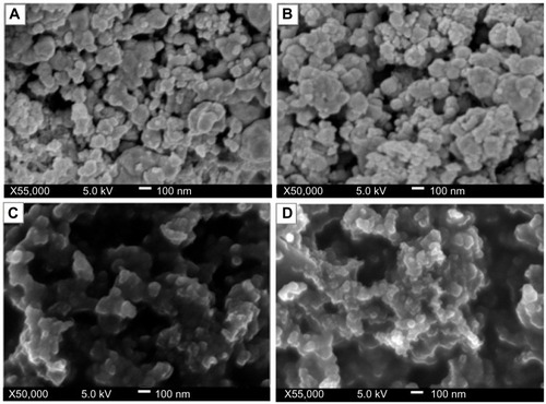 Figure 5 Field emission scanning electron micrographs of chitosan-copper nanoparticles at different concentration of chitosan medium, 0.05, 0.1, 0.2 and 0.5 wt% (A–D), respectively.