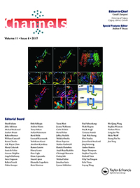 Cover image for Channels, Volume 11, Issue 6, 2017