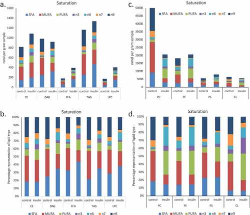 Figure 3. (a–d). Saturation analysis of lipids in RBL2H3 in the absence and presence of chronic insulin exposure. Lipid classes were analysed for the presence of Saturated Fatty Acids (SFA), Mono-unsaturated FA (MUFA), Poly-unsaturated FA (PUFA) and omega n 3, 6, 7, and 9 lipids. Data in A and C present absolute lipid levels (nmol per billion cells). Data in B and D show normalized data to assess proportional representation of SFA, MUFA, etc., in each class in the absence and presence of insulin. Aggregated lipid groups (e.g. PUFA) are shown alongside disaggregated categories (e.g. n3 alone, which is a subset of PUFA). E-M. Normalized (each to 100%) proportion of each lipid species by class in the absence and presence of chronic insulin exposure.